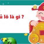 Bạch thủ lô là gì?