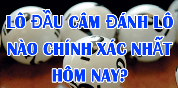lo-cam-dau-danh-con-gi-hom-nay