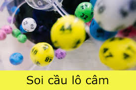 soi-cau-lo-cam-8