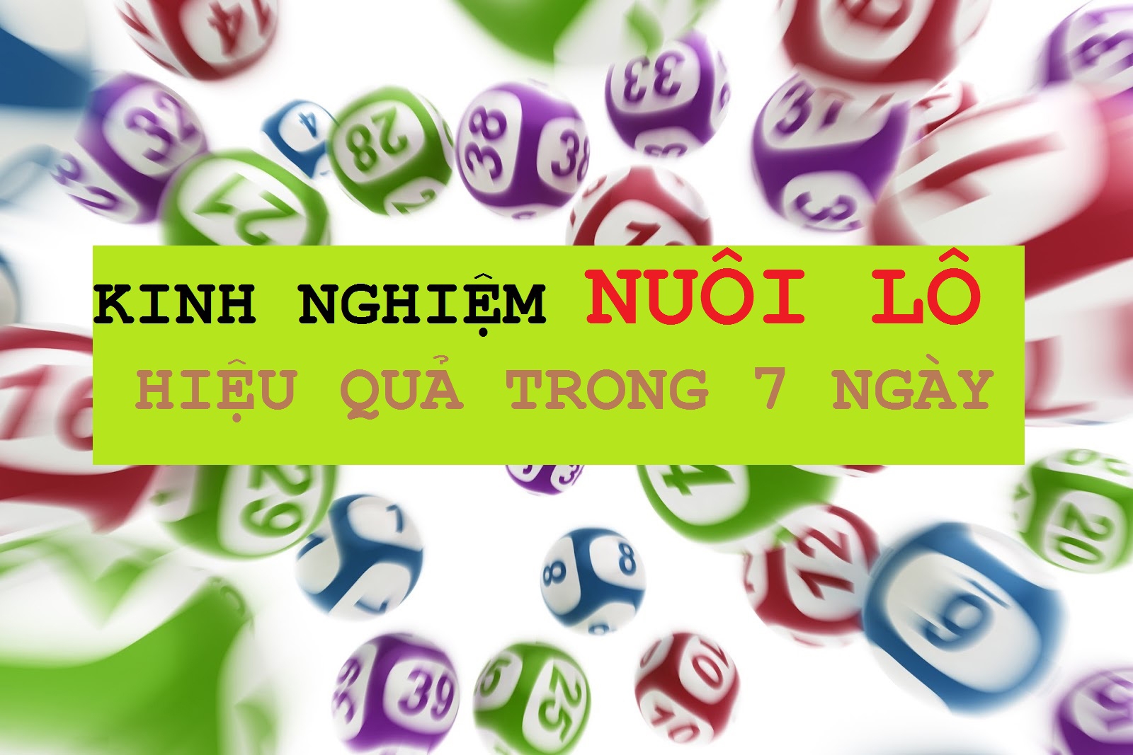 Các bước nuôi lô khung 2 ngày hiệu quả lô gan miền nam