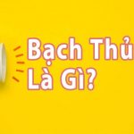Bạch Thủ Lô Là Gì