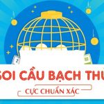 Cách bắt bạch thủ lô hiệu quả